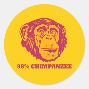Adesivo Redondo Chimpanzé de 98%