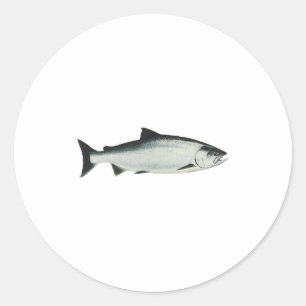 Adesivo Redondo Chinook - rei salmão