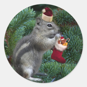 Adesivo Redondo Chipmunk insolente do Natal