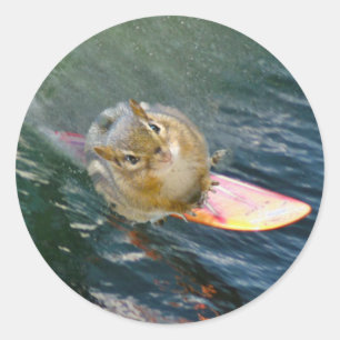 Adesivo Redondo Chipmunk surfando bonito