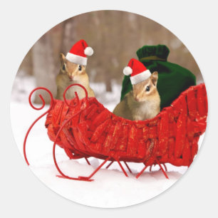 Adesivo Redondo Chipmunks adoráveis do bebê do papai noel no tre