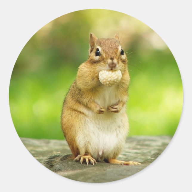 Adesivo Redondo Chipset com tratamento (Frente)