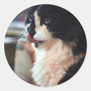 Adesivo Redondo Chloe lambe
