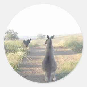 Adesivo Redondo Chloe o canguru Sam o sheepdog