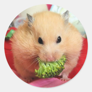 Adesivo Redondo Chmurka e brócolis