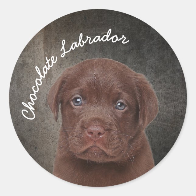 Adesivo Redondo Chocolate Labrador (Frente)