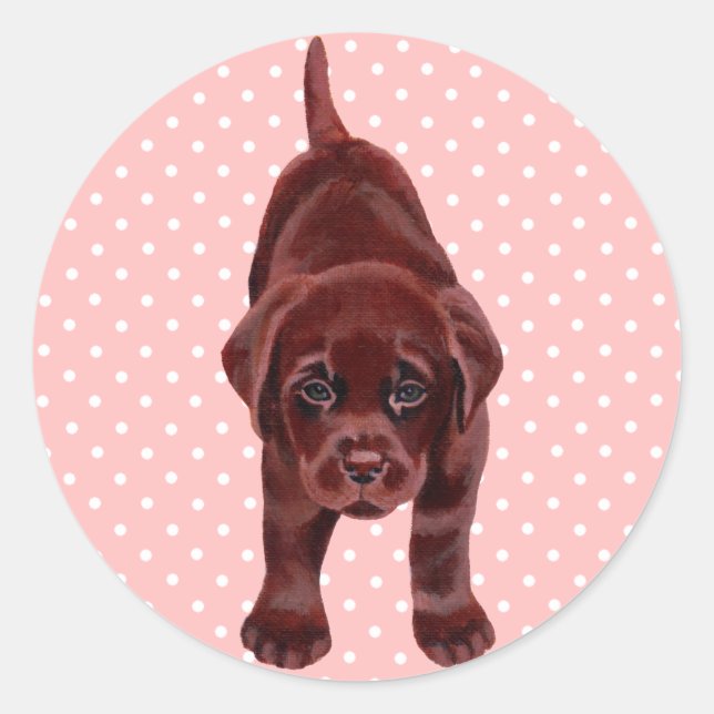 Adesivo Redondo Chocolate Labrador Puppy (Frente)