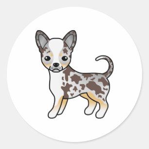 Adesivo Redondo Chocolate Merle Smooth Casaco Chihuahua
