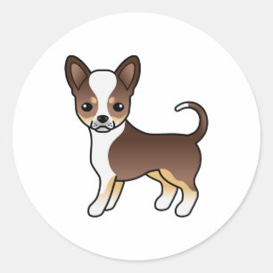 Adesivo Redondo Chocolate Tricolor Casaco Chihuahua Cachorro Suave