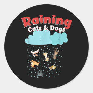 Adesivo Redondo Chovendo Gatos E Cachorros Chuva Canino Felino Pet