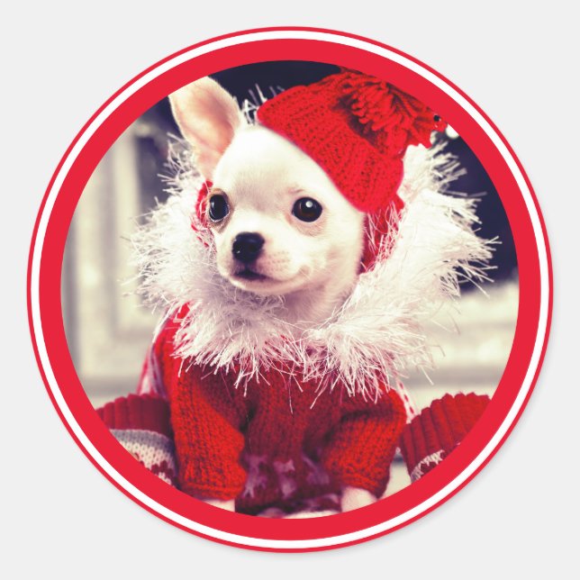 Adesivo Redondo CHRISTMAS CHIHUAHUA Sticker ENVELOPE SEAL (Frente)