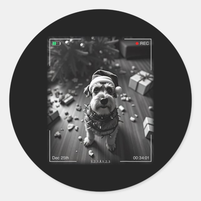 Adesivo Redondo Christmas Schnauzer Caught On Camera  (Frente)