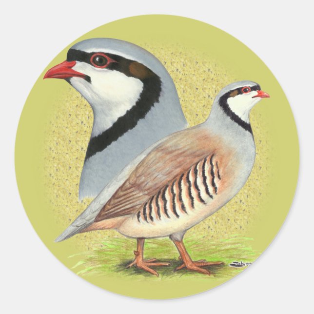 Adesivo Redondo Chukar Partridge Combo (Frente)