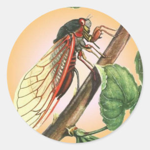 Adesivo Redondo Cicada