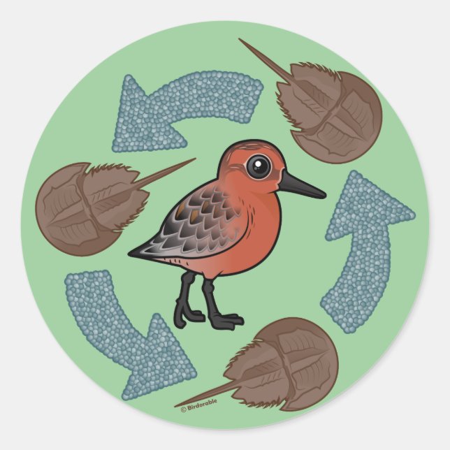 Adesivo Redondo Ciclo do Nó de Caranguejo (Frente)