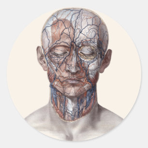 Adesivo Redondo Ciência de Anatomia Humana Antiga, Cabeça Garganta