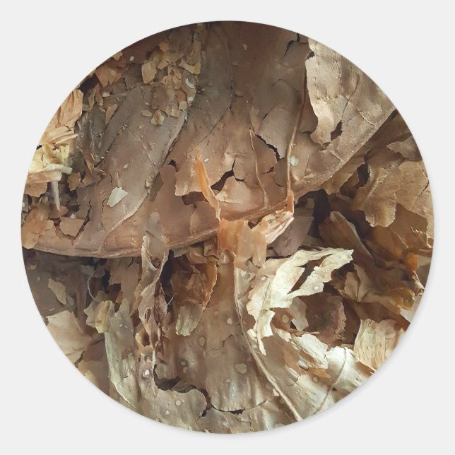 Adesivo Redondo Cigarro Fumante Textura De Folha De Cigarro (Frente)