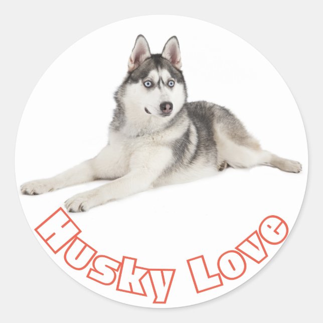 Adesivo Redondo Cinza Siberian Husky Black Puppy Dog Red Love (Frente)