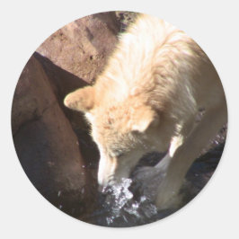 Adesivo Redondo Cinza Wolf