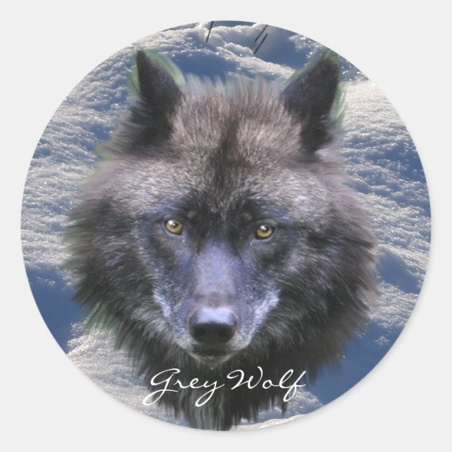 Adesivo Redondo CINZA WOLF HEAD & SNOW Wildlife Supporter Stickers (Frente)