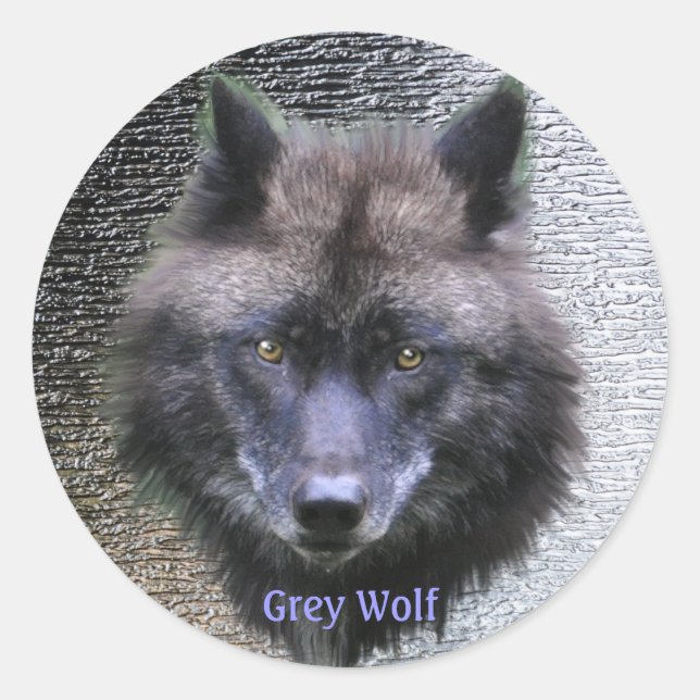 Adesivo Redondo CINZA WOLF HEAD Wildlife Supporter Stickers (Frente)
