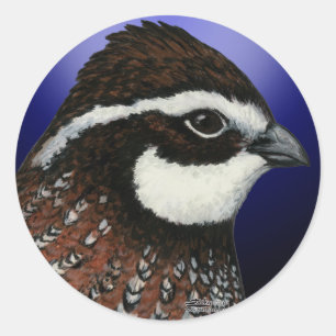 Adesivo Redondo Círculo da Cabeça da Codorna Bobwhite