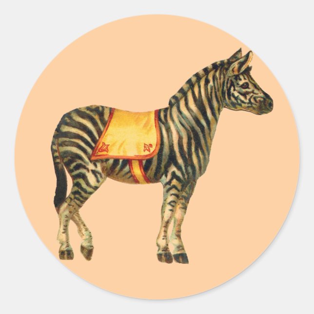 Adesivo Redondo Circus Zebra Sticker (Frente)