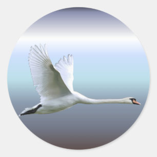Adesivo Redondo Cisne branca no vôo completo