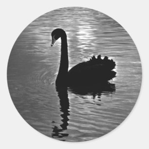Adesivo Redondo Cisne preta - animal nativo australiano