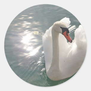 Adesivo Redondo Cisne romântico branco