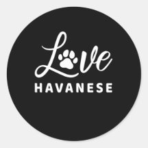 CITAÇÃO DE PRESENTE DO HAVANESE AMOR PARA PROPRIET