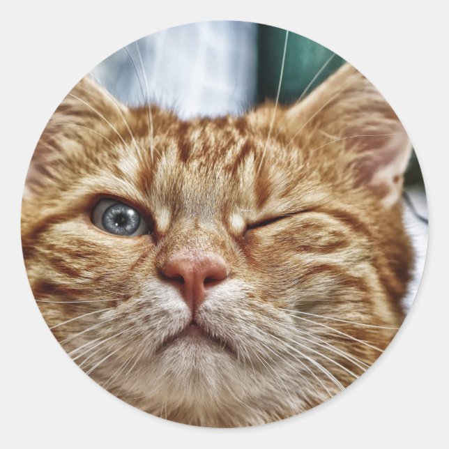 Adesivo redondo clássico (Frente)