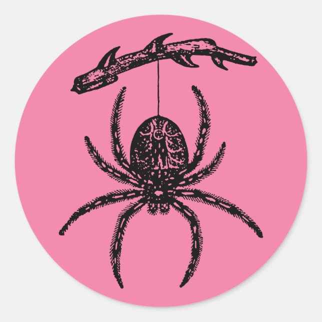 Adesivo redondo clássico de aranha rosa (Frente)