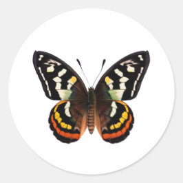 Adesivo redondo clássico de borboletas