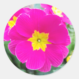 Adesivo Redondo Clássico de Pansy Rosa no Parque