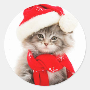 Adesivo Redondo Clássico Gatinho do Papai Noel Fof