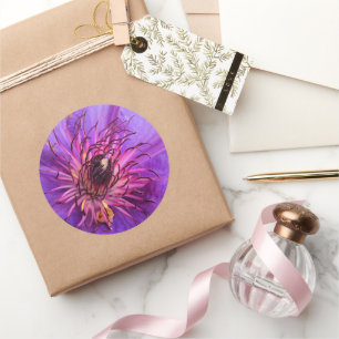 ADESIVO REDONDO CLEMÁTICA