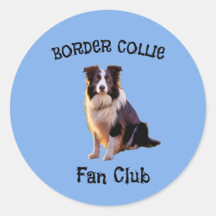 Adesivo Redondo Clube de fãs de collie de fronteira