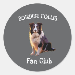 Adesivo Redondo Clube de fãs de collie de fronteira