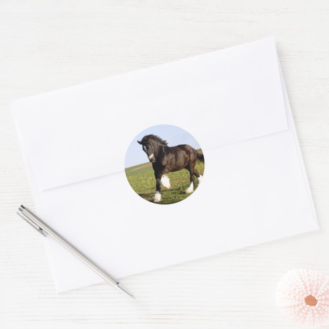 Adesivo Redondo Clydesdale Horse (Envelope)