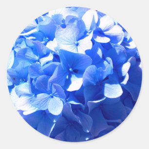 Adesivo Redondo Cobalt Azul