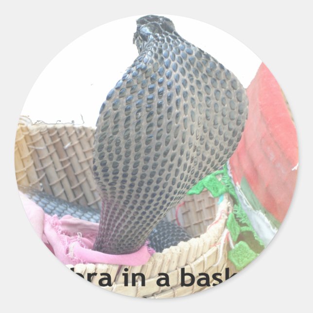 Adesivo Redondo Cobra no Impressão de Arte de Cesto (Frente)