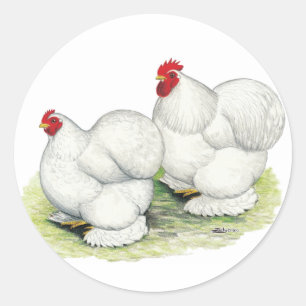 Adesivo Redondo Cochim: Bantams brancos