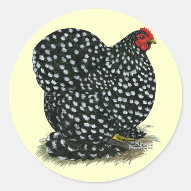 Adesivo Redondo Cochin Mottled Hen (Frente)