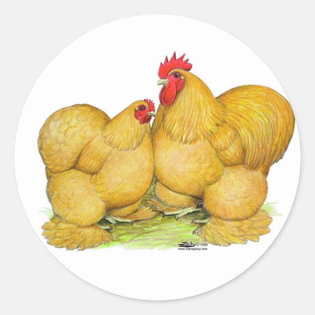 Adesivo Redondo Cochins Buff Pair (Frente)