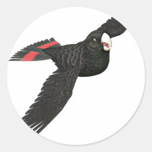 Adesivo Redondo Cockatoo Preto Perfurado Vermelho