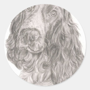 Adesivo Redondo Cocker spaniel
