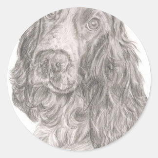 Adesivo Redondo Cocker Spaniel