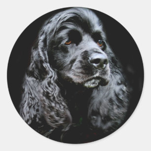 Adesivo Redondo Cocker spaniel preto
