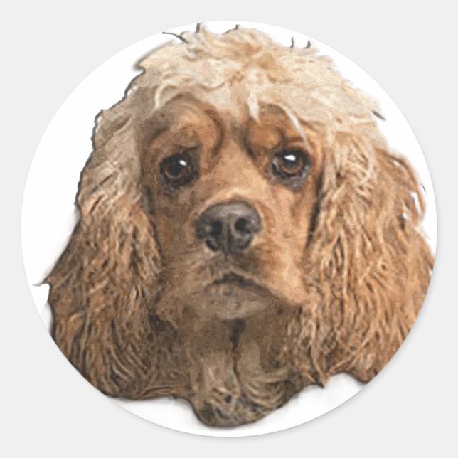 Adesivo Redondo cocker Spaniels (Frente)